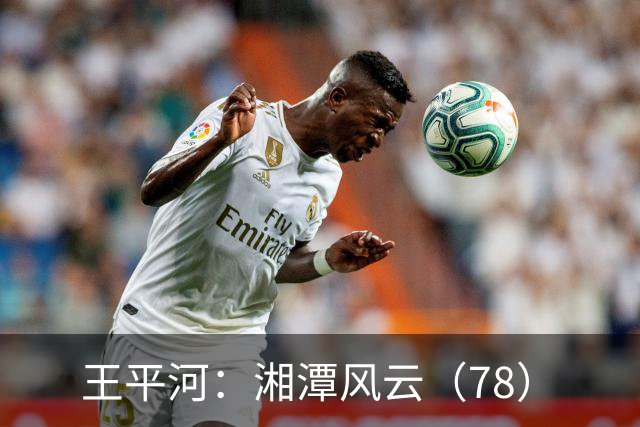王平河：湘潭风云（7/8）