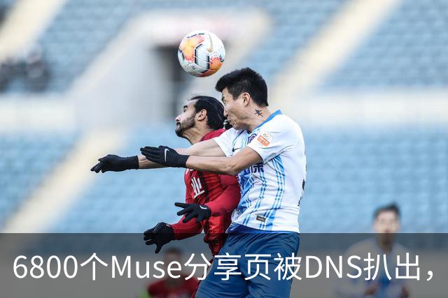 6800个Muse分享页被DNS扒出，Meta紧急暂停